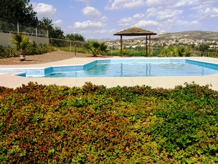 maronipoolweb.jpg